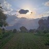 Orkide_1978's profile picture