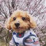 全力すんどめ家族@三井ホーム's profile picture