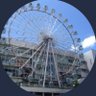 くわくわ profil fotoğrafı