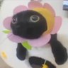 Pipu_drk's profile picture