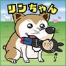 のぶちゃん🐷 profil fotoğrafı