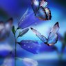 Фото профиля Butter🦋