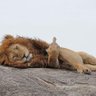 Фото профиля Luiz Alves