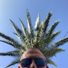 Pete's profile picture