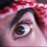 Profilbild von ناصح