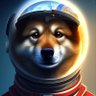 Dogewidow's profile picture