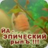 Profilbild von Молчание рыбят 🅴