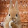 Profilbild von 魂