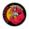 TMF's profile picture