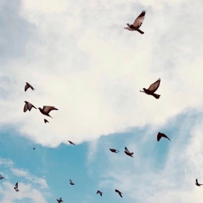 _probllem's profile picture