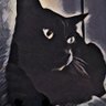 Jorge Alb.'s profile picture