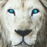 Leon Celeste's profile picture