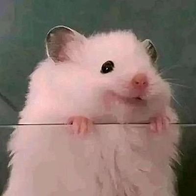 lngyto14's profile picture