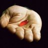 Redpill's profile picture