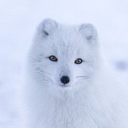 Eye's profile picture