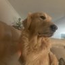 JSGVN profil fotoğrafı