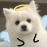 Malaikat Tuhan's profile picture