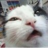 Profilbild von Alex