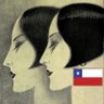 milu🇨🇱💯% 的头像