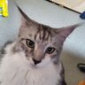およ's profile picture