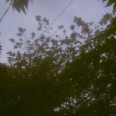 gataucapekdah's profile picture