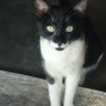 Kinna Sonah profil fotoğrafı