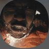 Addis Alemu's profile picture