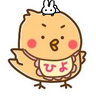Profilbild von ひよ