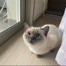 dw profil fotoğrafı