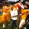 Go Vols 🍊's profile picture