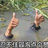 🐻七 的头像