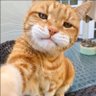 Profilbild von Master-Shifu