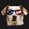 JellyBeaner🗽🇺🇸 profil fotoğrafı