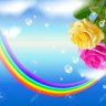 Rainbow Shows profil fotoğrafı