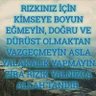 BEKİR KAYA's profile picture