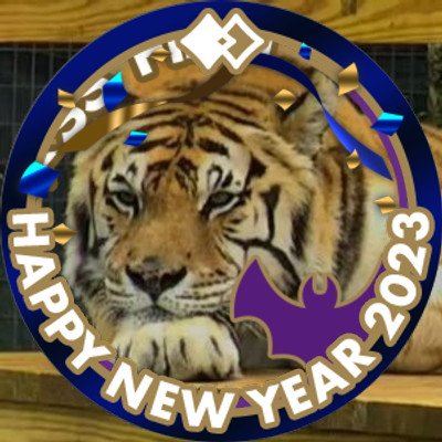 usachico's profile picture