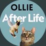 Ollie After Life profil fotoğrafı