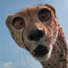 Personne's profile picture