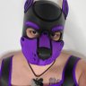 Profilbild von pup_laz