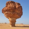 عويض حميد الجهني profil fotoğrafı