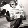 Profilbild von researchsys