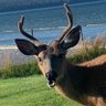 Beer and Bonfires's profile picture
