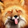 Cykunn profil fotoğrafı
