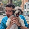 Micah Goldblum's profile picture