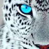 Brina ❤️🇸🇮❤️🍀 🇺🇦✌️🇮🇱🍀's profile picture