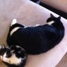 julie crosson's profile picture