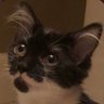 wak's profile picture