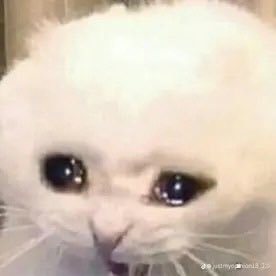 yaboiiiiiiiiiiy's profile picture