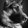 Maxinem 👀🎭⚖️'s profile picture