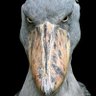 Satrixx 𝕏 profil fotoğrafı